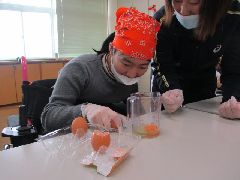 IMG_6263.jpg