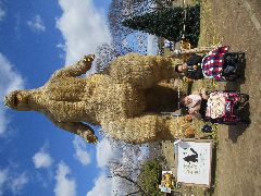 IMG_7173.jpg