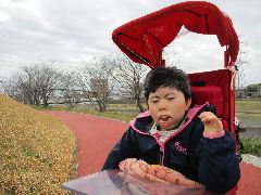 IMG_7294.jpg