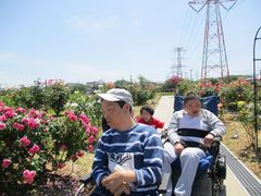 IMG_4206.jpg