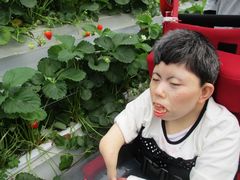 IMG_8543.jpg